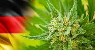 Alemania aprueba la legalización del cannabis recreativo y permite el cultivo de hasta tres plantas